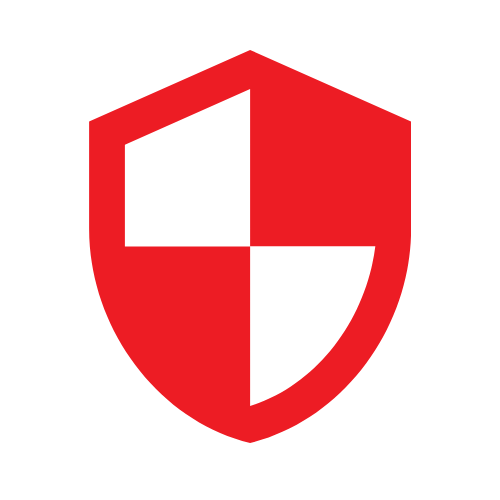 Vigilant Network security guard